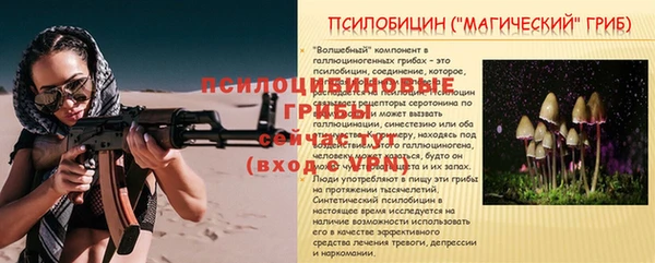 spice Абаза