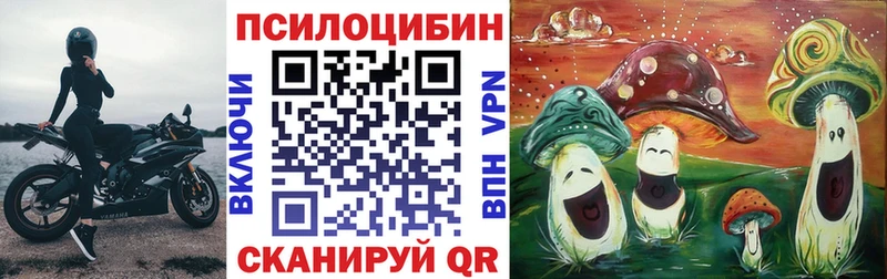 Галлюциногенные грибы GOLDEN TEACHER  где купить   гидра сайт  Ряжск 